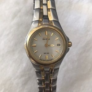 Citizen Eco-Drive WR100 Stainless Steel Wa…